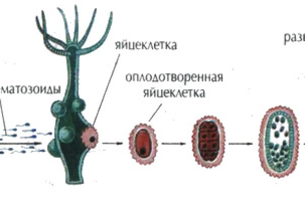 Сайт kraken тор