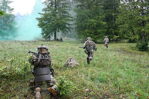 Где взять ссылку на кракен